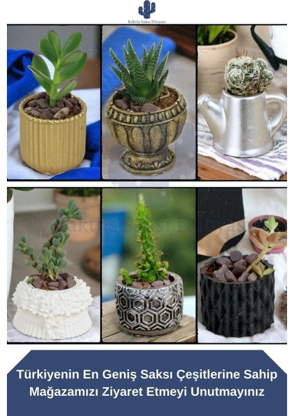 El Yapımı Saksı Dekoratif Saksı Küçük Boy Model 24