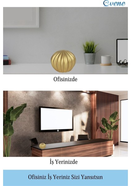 Dekoratif Biblo Kaktüs Dekor Objesi El Yapımı Hediyelik Süs Eşyası Model Kaktüs1