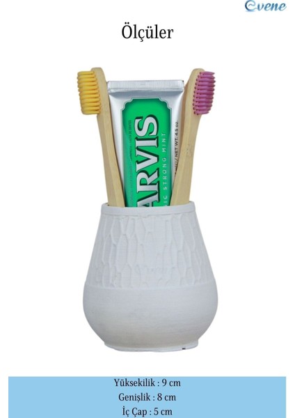 Diş Fırçalığı Tezgah Üstü Diş Fırçası Standı Vazo Model fırsatları