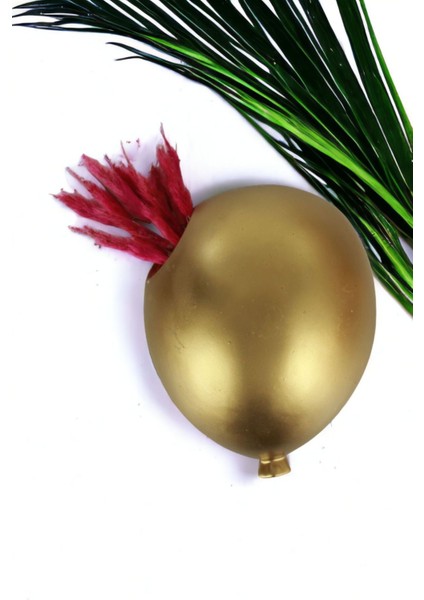 Saksı Duvar Saksısı Dekoratif Saksı Balon Saksı Model 3 indirimleri