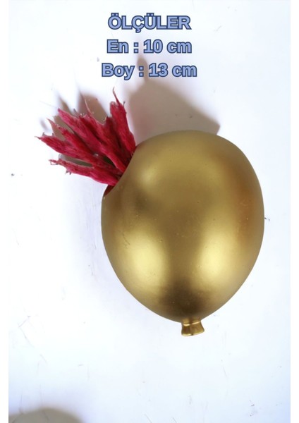 Saksı Duvar Saksısı Dekoratif Saksı Balon Saksı Model 3