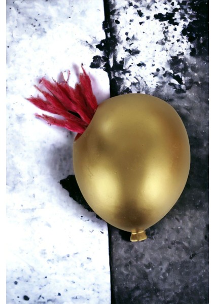 Saksı Duvar Saksısı Dekoratif Saksı Balon Saksı Model 3