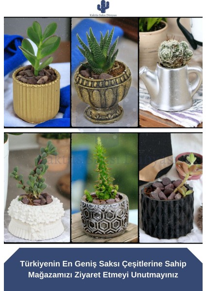 Saksı Duvar Saksısı Dekoratif Saksı Balon Saksı Model 3