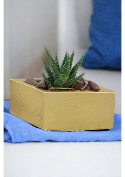 El Yapımı Saksı Dekoratif Saksı Küçük Boy Model 19 fırsatları