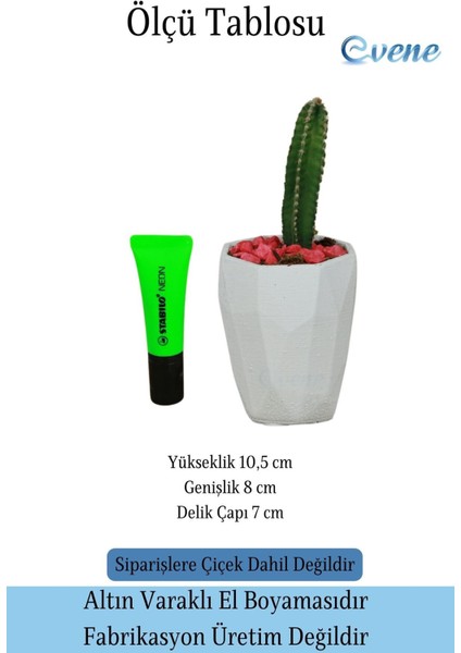 Saksı Kaktüs Saksısı Dekoratif Saksı Model 12