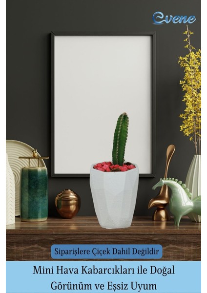 Saksı Kaktüs Saksısı Dekoratif Saksı Model 12