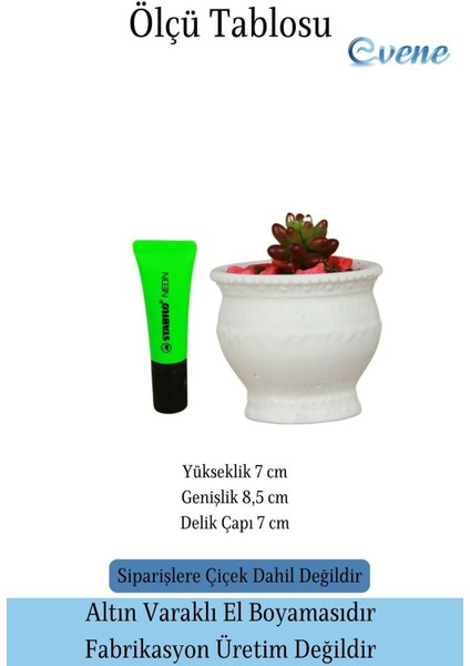 Saksı Kaktüs Saksısı Dekoratif Saksı Model 9