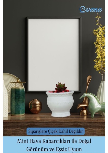 Saksı Kaktüs Saksısı Dekoratif Saksı Model 9