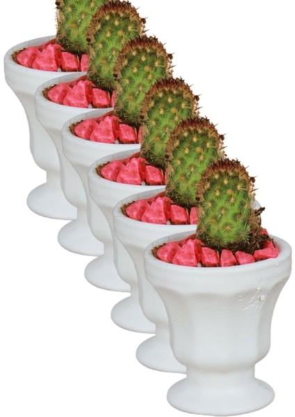 El Yapımı Saksı Seti Dekoratif 6 Adet Saksı Küçük Boy Model 38 fırsatları