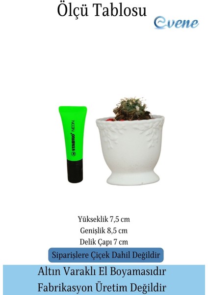 Kaktüs Saksısı Dekoratif Saksı Model 6