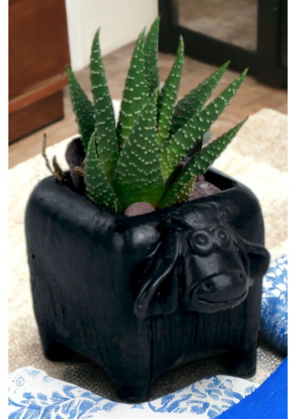 El Yapımı Saksı Dekoratif Saksı Küçük Boy Model 24 fırsatları