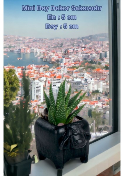 El Yapımı Saksı Dekoratif Saksı Küçük Boy Model 24 indirimleri