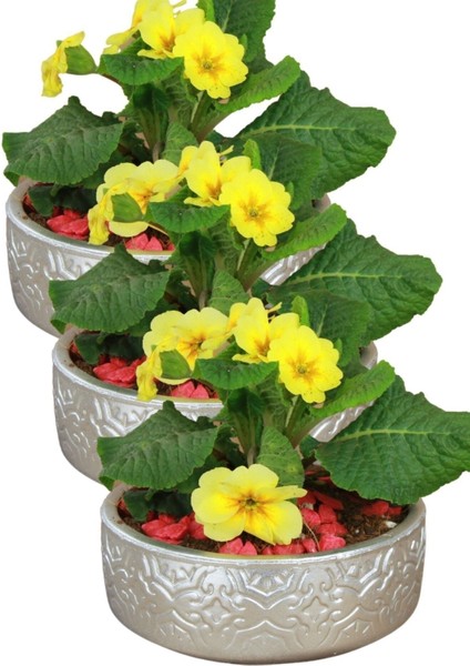 El Yapımı Saksı Seti Premium Kalite 3 Adet Dekoratif Saksı Model 2 fırsatları