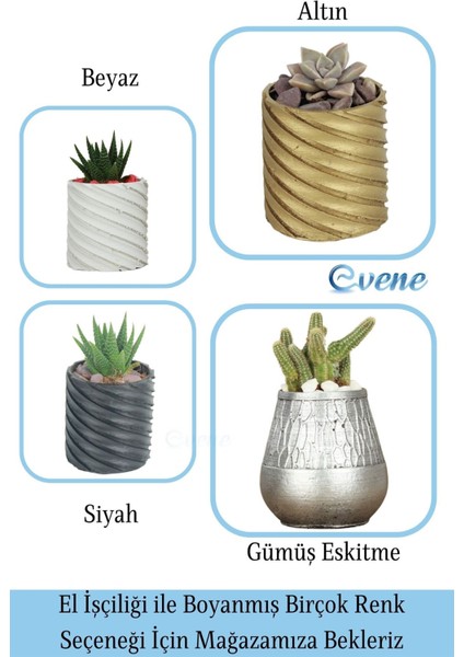 Kaktüs Saksısı Dekoratif Saksı Model 17