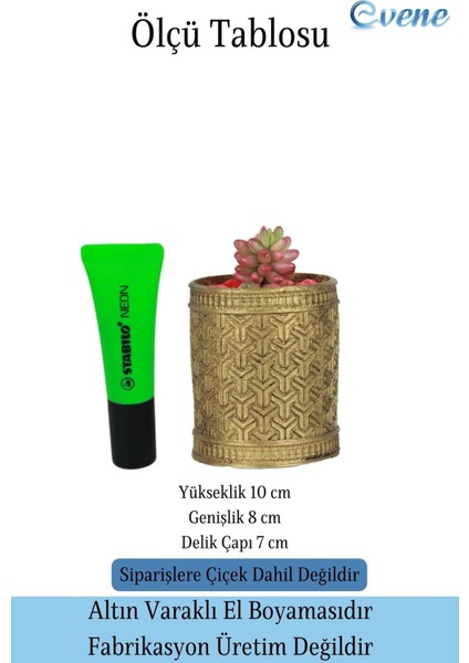 Saksı Kaktüs Saksısı Dekoratif Saksı Model Y