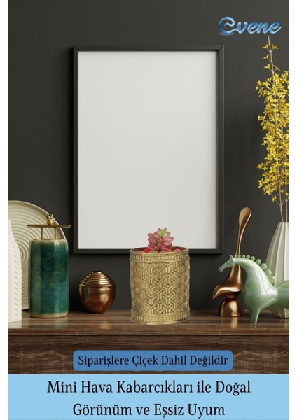 Saksı Kaktüs Saksısı Dekoratif Saksı Model Y