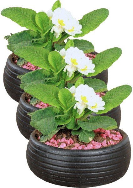 El Yapımı Saksı Seti Premium Kalite 3 Adet Dekoratif Saksı Model 4 fırsatları