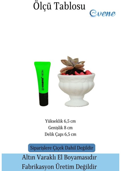 Kaktüs Saksısı Dekoratif Saksı Model 3
