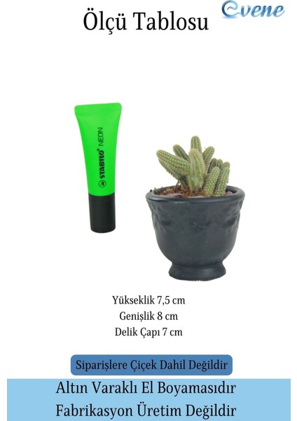 Kaktüs Saksısı Dekoratif Saksı Model 14