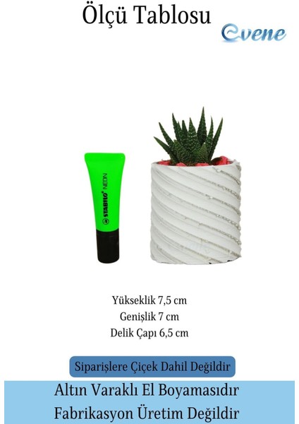 Saksı Kaktüs Saksısı Dekoratif Saksı Model 4