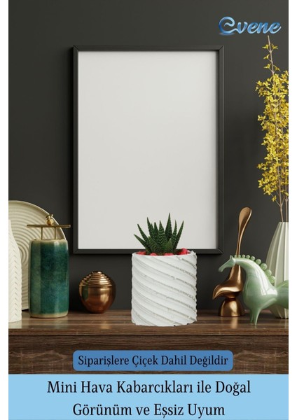 Saksı Kaktüs Saksısı Dekoratif Saksı Model 4