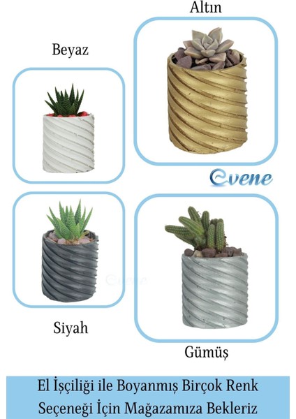 Saksı Kaktüs Saksısı Dekoratif Saksı Model 4