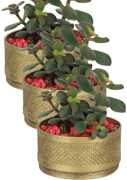 El Yapımı Saksı Premium Kalite Dekoratif Saksı Model 17 fırsatları