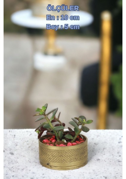 El Yapımı Saksı Premium Kalite Dekoratif Saksı Model 17 indirimleri