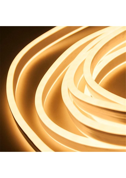 CT-4455 12 V Neon LED Prize Tak-Çalıştır (Trafolu -Kablolu)