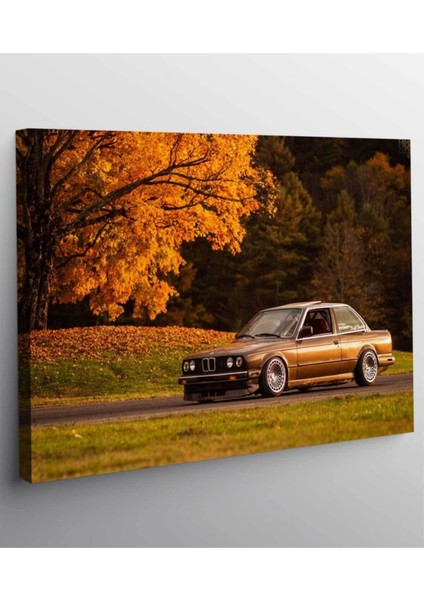 Renkli Çalışma ve Oturma Odası Dekoru, Modern Kanvas Tablo, Şık Ev ve Ofis Dekoru fiyatları