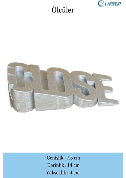 Kapı Stoperi Gümüş Renk Dekoratif Kapı Tutucu Durdurucu Close Model