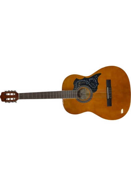 4/4 Klasik Gitar EC-309WA