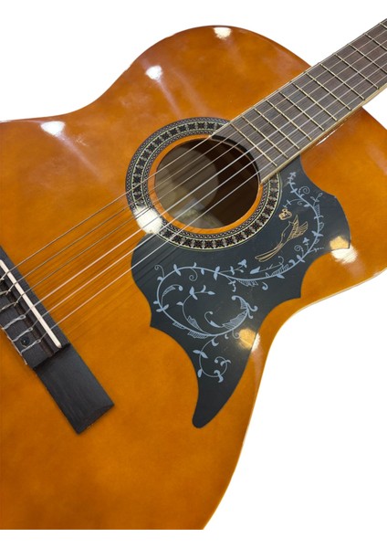 4/4 Klasik Gitar EC-309WA modelleri