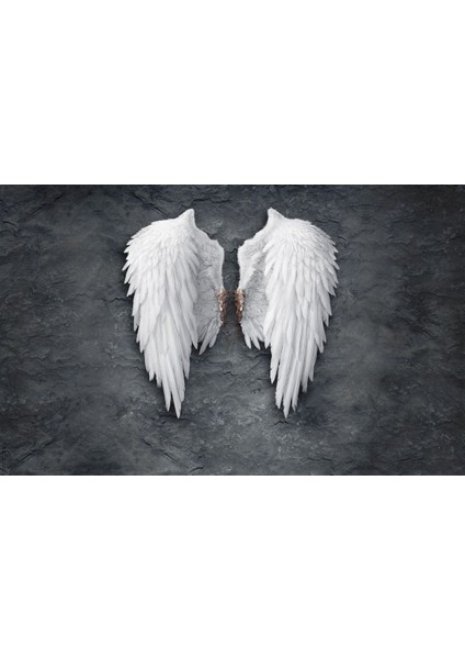 Beyaz Kanatlar Antrasit Gri Çerçeveli Cam Tablo Yatay, Şık ve Zarif Dekorasyon Parçası fiyatları