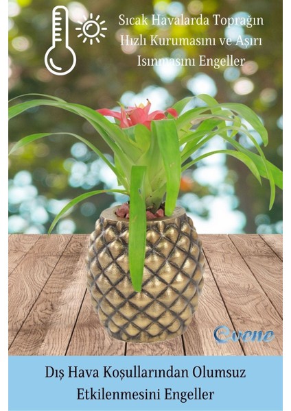 Saksı Çiçek Kaktüs Saksısı Lüx 15 cm Varak Boyalı Ananas Desen Saksı Çiçeklik