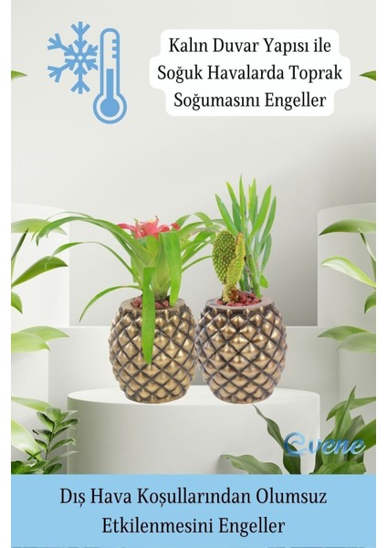 Saksı Çiçek Kaktüs Saksısı Lüx 15 cm Varak Boyalı Ananas Desen Saksı Çiçeklik
