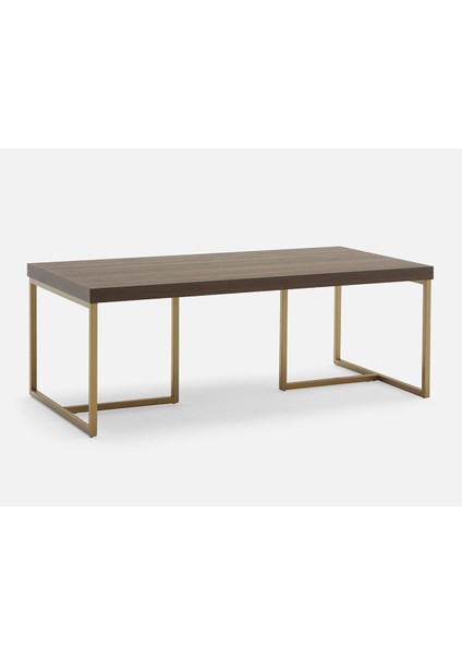 George Gold Metal Ahşap Orta Sehpa