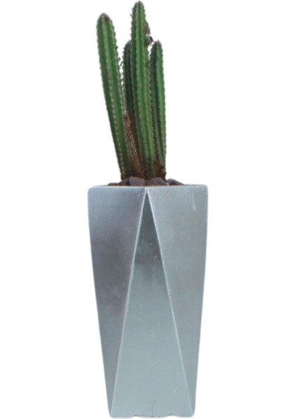 Çiçek Saksısı Uzun Beton Saksı Model 1