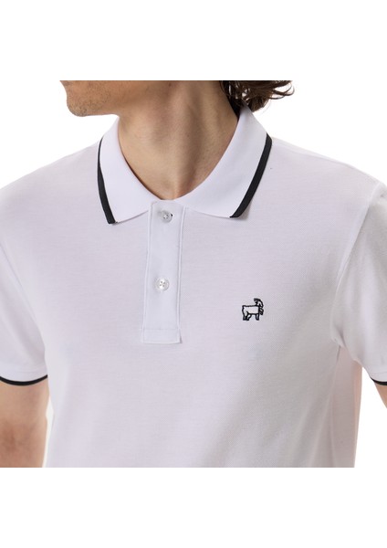 Premium Erkek Polo Yaka Tişört Morelli fırsatları