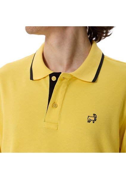 Premium Erkek Polo Yaka Tişört Morelli fırsatları