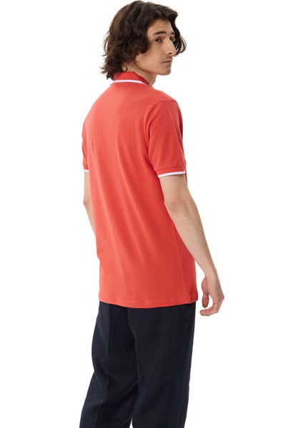 Premium Erkek Polo Yaka Tişört Morelli modelleri