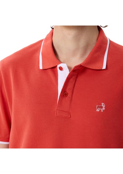 Premium Erkek Polo Yaka Tişört Morelli indirimleri