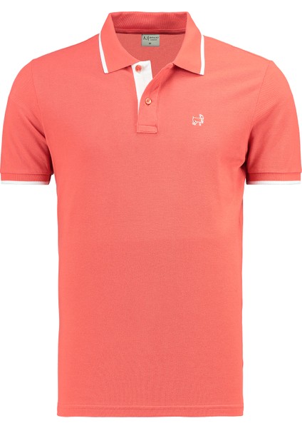 Premium Erkek Polo Yaka Tişört Morelli