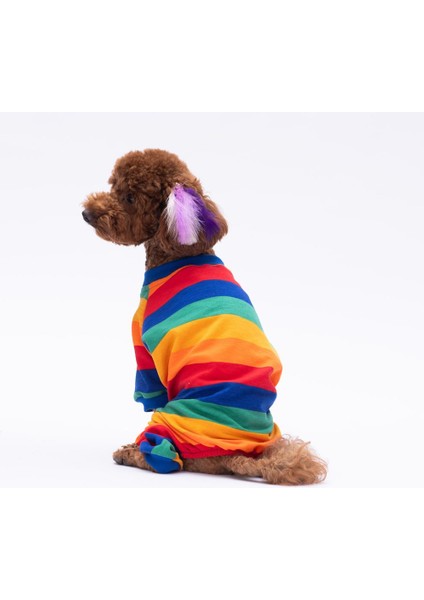 Ruby Gökkuşağı Penye Tulum Kedi Köpek Tulumu Kedi Köpek Kıyafeti Köpek Pijaması fiyatları