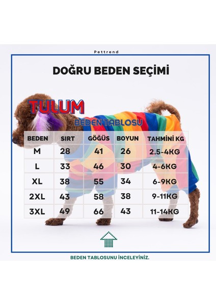 Ruby Gökkuşağı Penye Tulum Kedi Köpek Tulumu Kedi Köpek Kıyafeti Köpek Pijaması modelleri