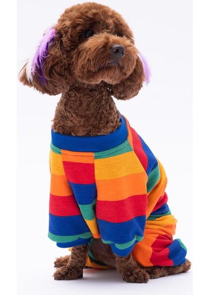 Ruby Gökkuşağı Penye Tulum Kedi Köpek Tulumu Kedi Köpek Kıyafeti Köpek Pijaması indirimleri