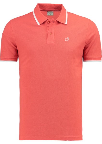 Premium Erkek Polo Yaka Tişört Montero