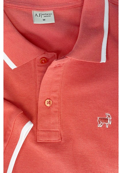 Premium Erkek Polo Yaka Tişört Montero fiyatları