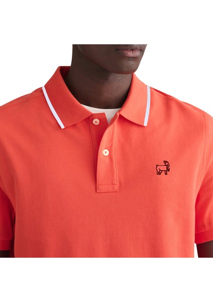 Premium Erkek Polo Yaka Tişört Montero indirimleri