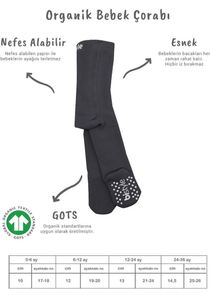 Bistyle Tekli Kaymaz Mix Havlu Külotlu Çorap 50501 Antrasit fiyatları